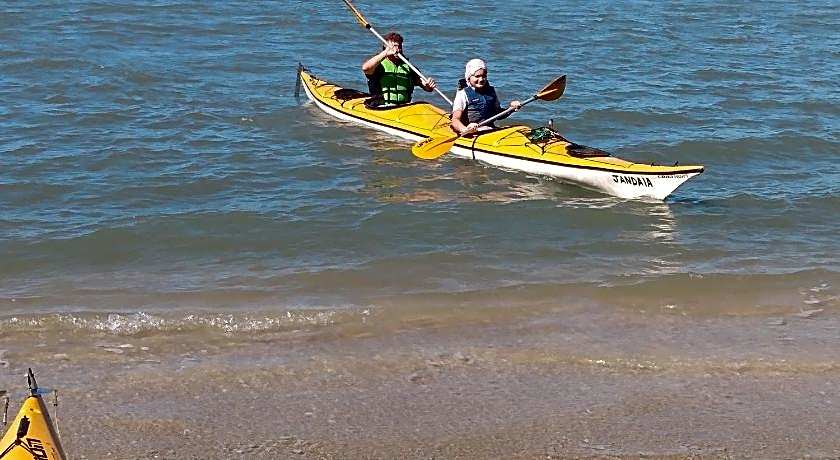 Planeta Banana Paraty