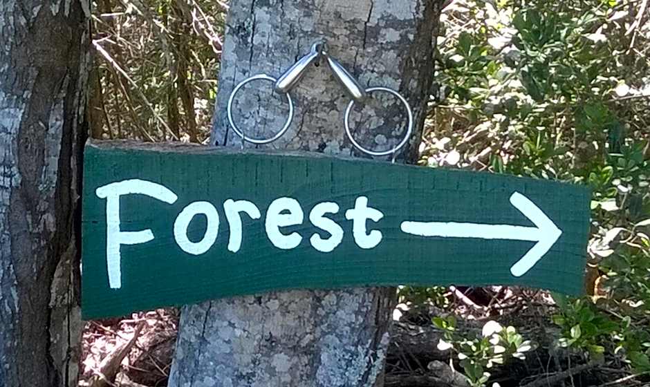 Green Hills Forest Lodge