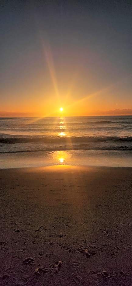 Burleigh Surf Apartments