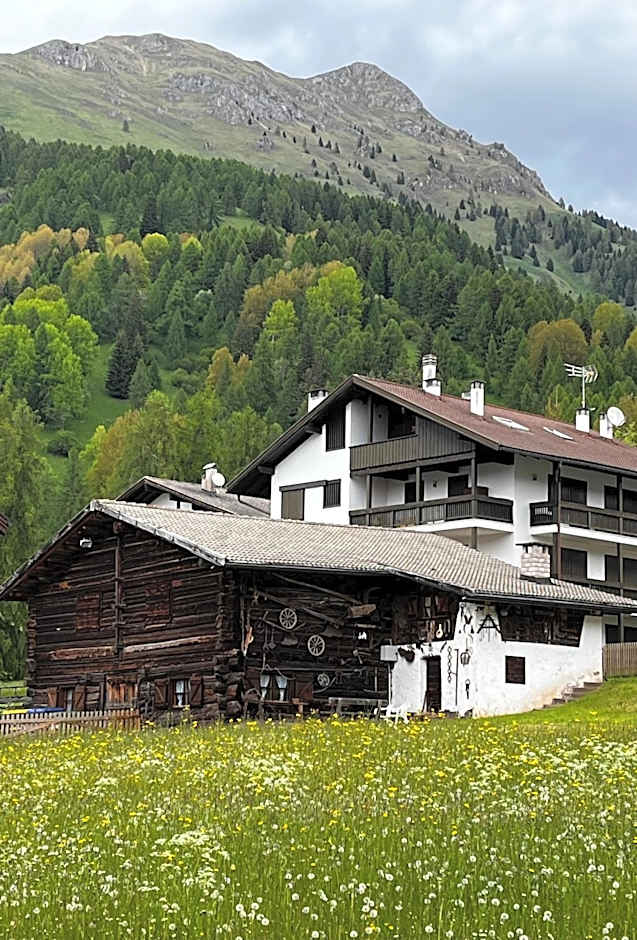 Hotel Stella Alpina