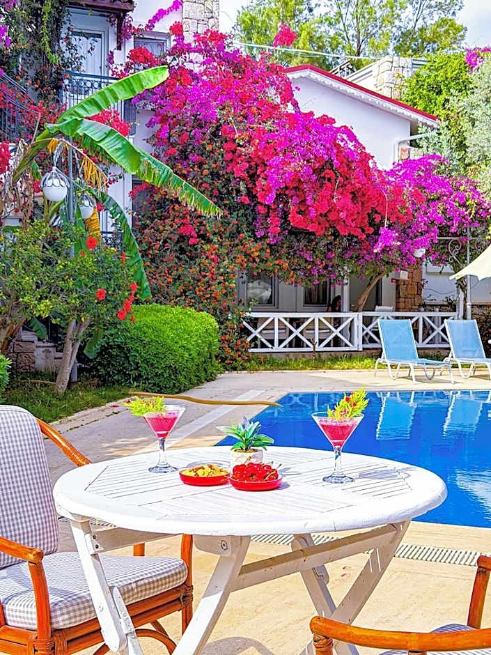 Moonshine Hotel & Suites