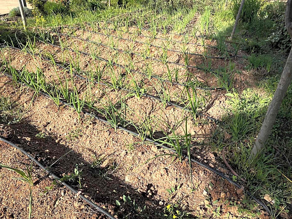 Hotel Serawa Moraira