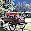 Hotel Bucaneve