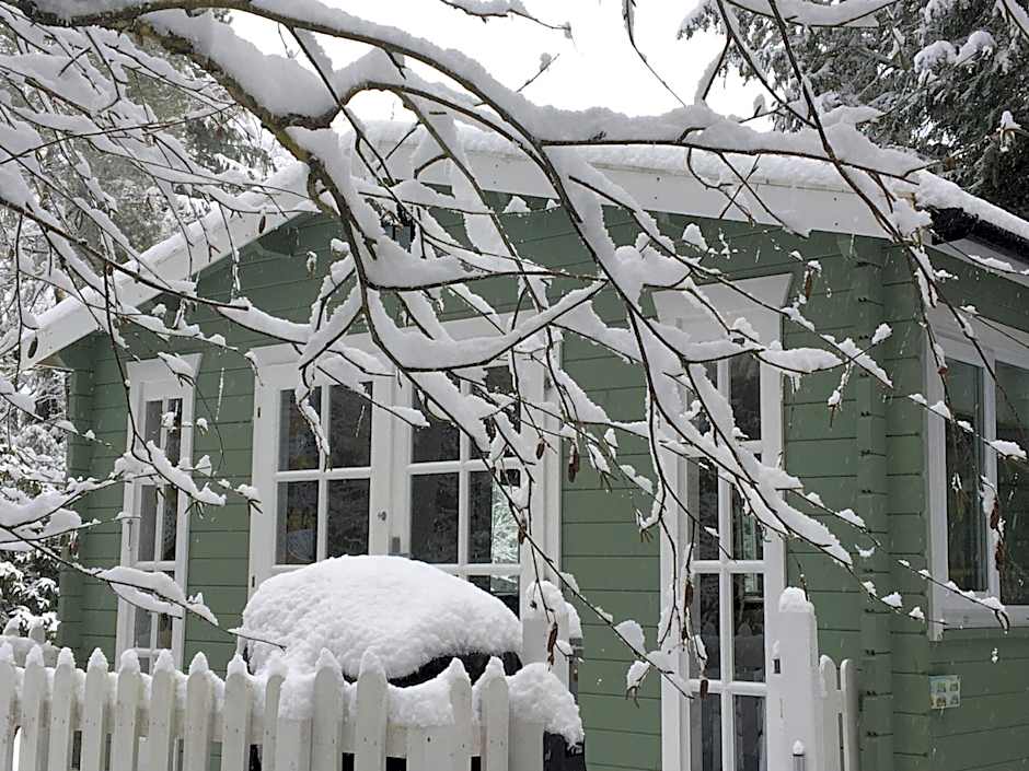 Woodland Cabin With private Wood-Fired Hot-Tub