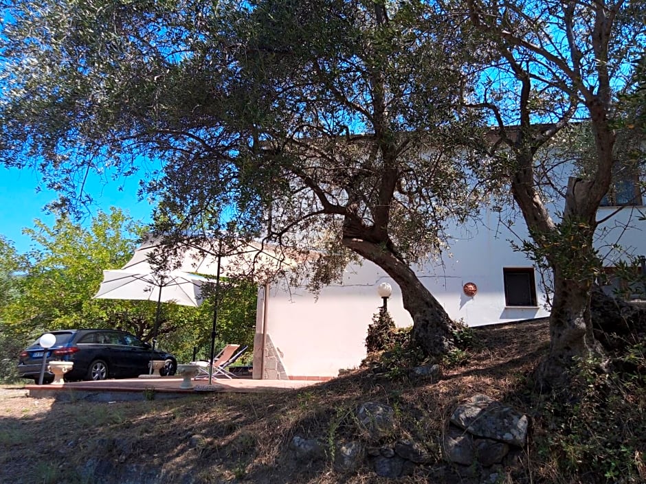 L'Antica Quercia B&B