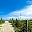 Royal Inn Beach Hotel Hutchinson Island