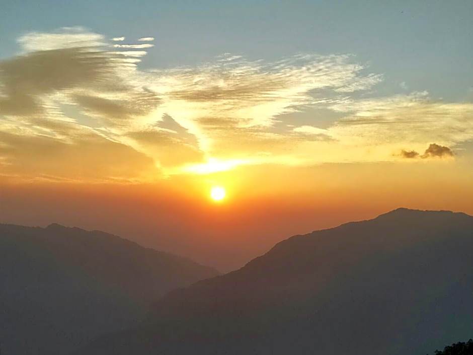 Flower and Star Garden Bed and Breakfast