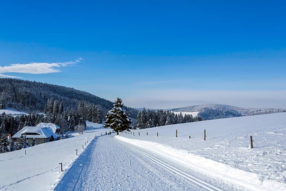 Ferienhotel Schwarzwälder Hof