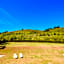 Borgo Malvasia- La Quercia