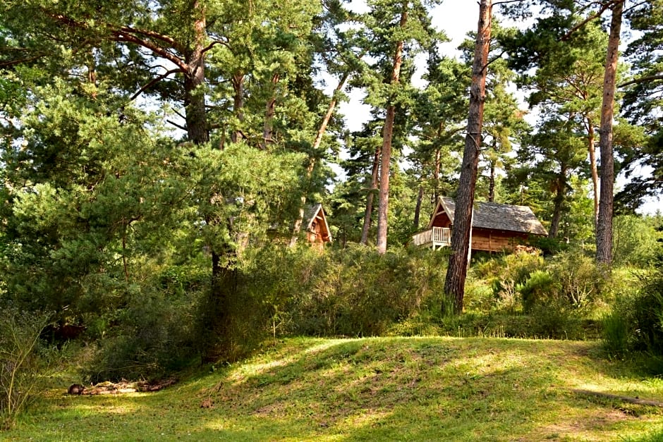 Cabane Lodge Domaine du Lac Chambon