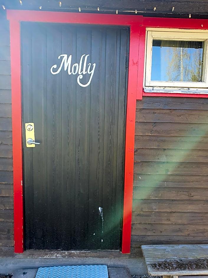 Mora Life, Åmåsängsgården