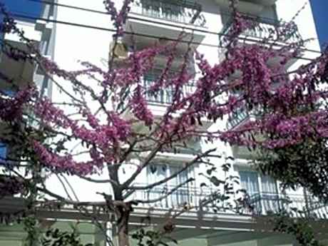 Melaike Hotel