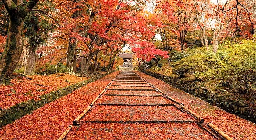 Four Points Flex by Sheraton Kyoto Oike