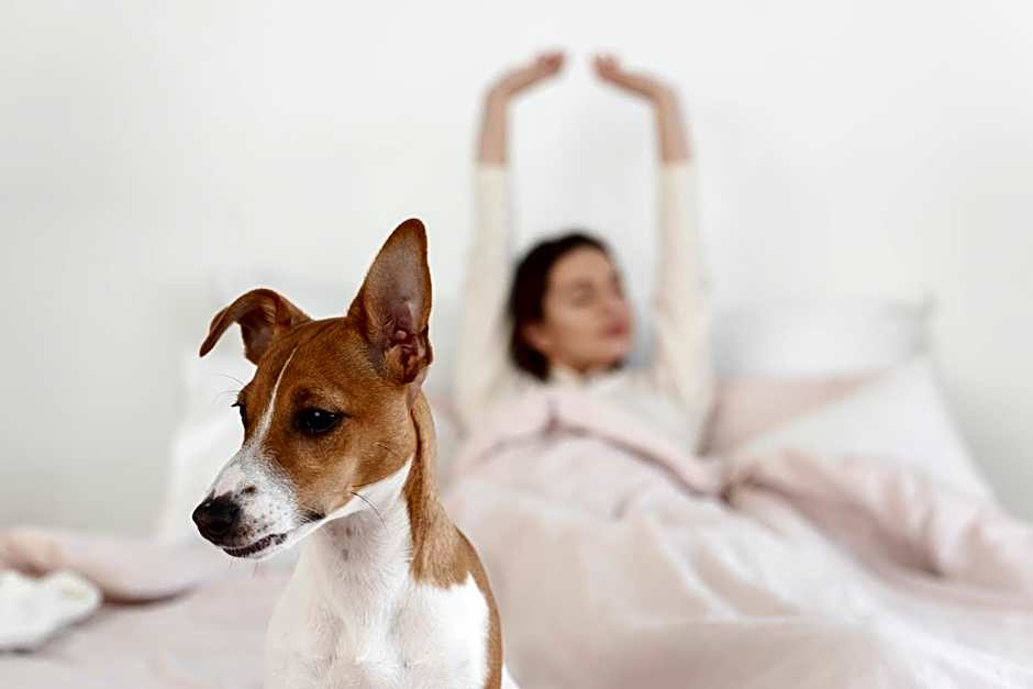 Novotel Santiago Las Condes (ex Atton)