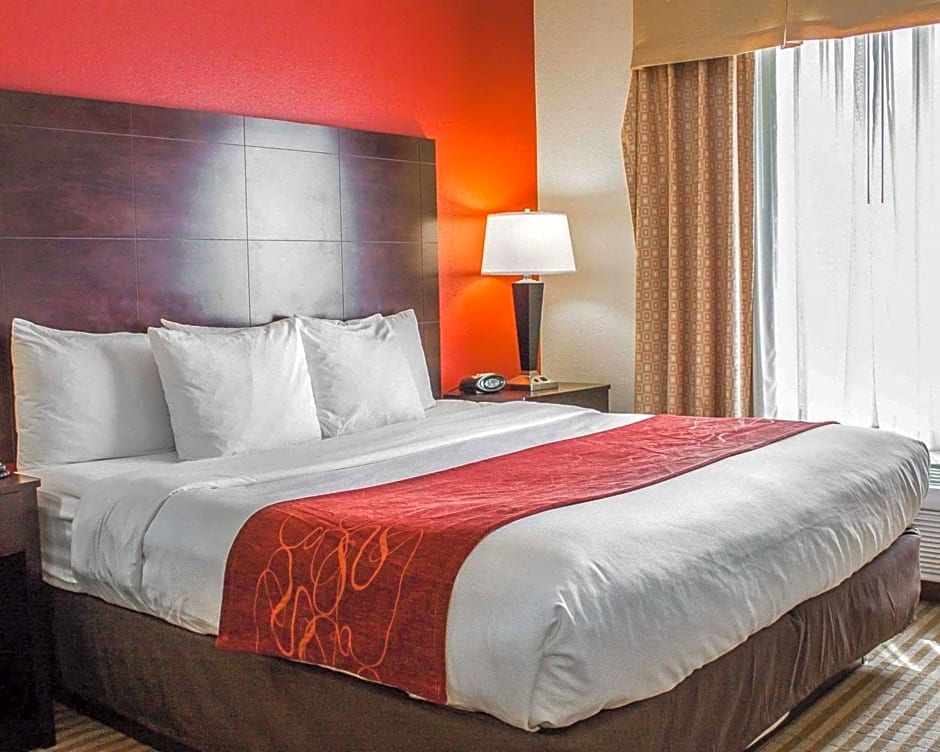 Comfort Suites East Broad at 270