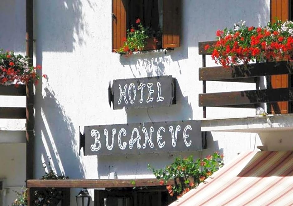 Hotel Bucaneve