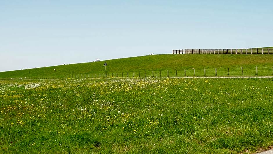 Vegotel