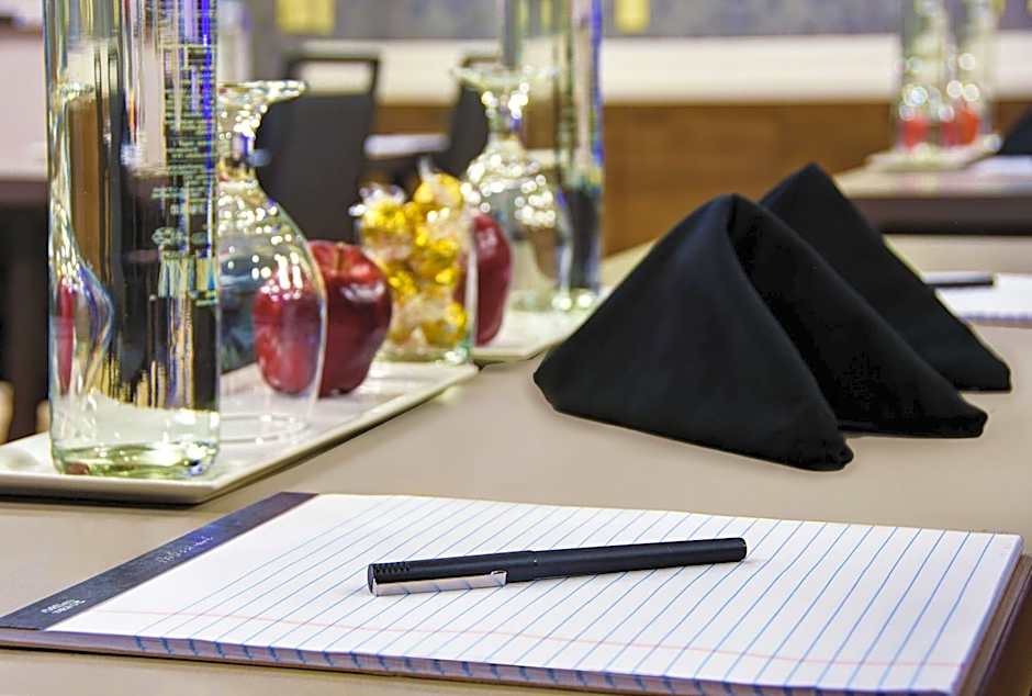 Hilton Garden Inn Houston/Galleria Area