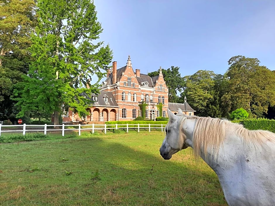 B&B Château de Ramegnies-Chin