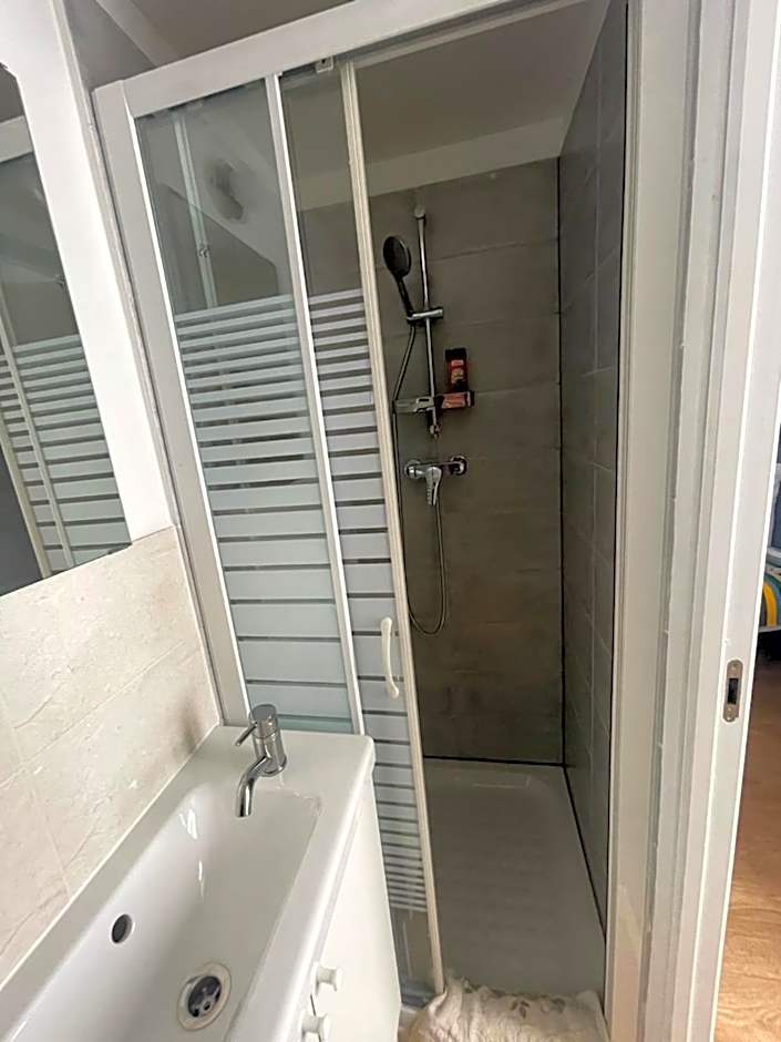 THEIA - Limoges Centre