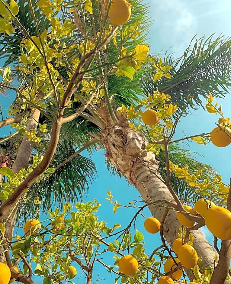 Luxury B&B Villa Tauro