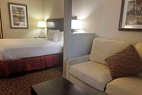 Deluxe King Room with Mobility/Hearing Access Roll-in Shower - Non-Smoking