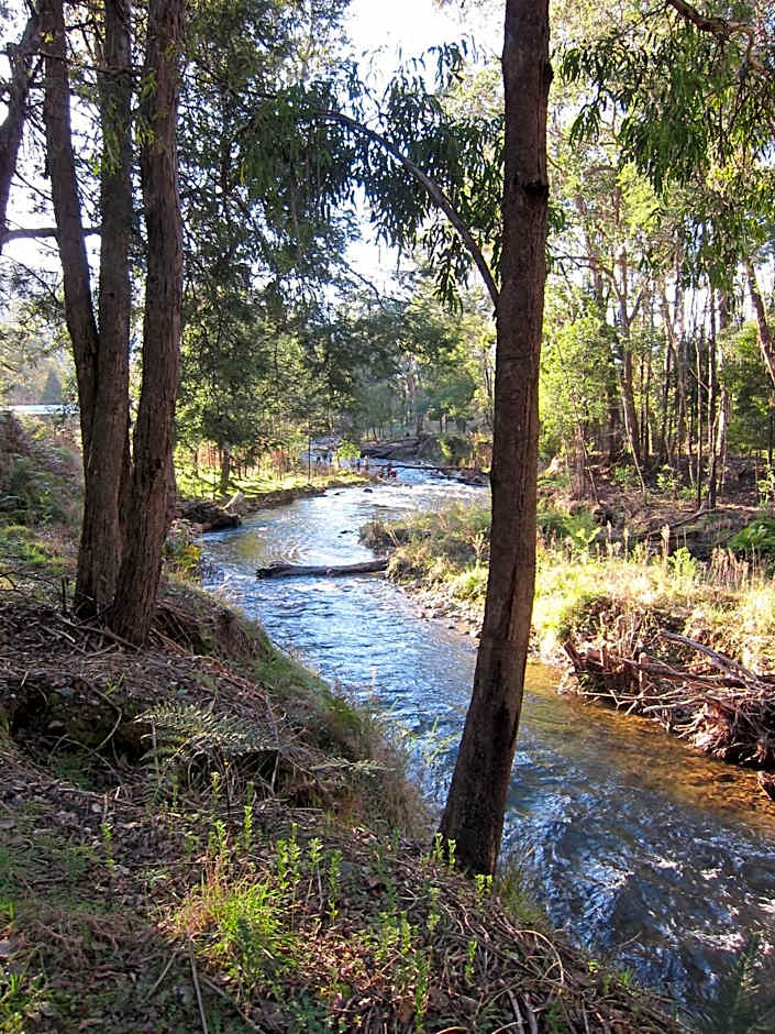 The Harrietville Snowline Hotel