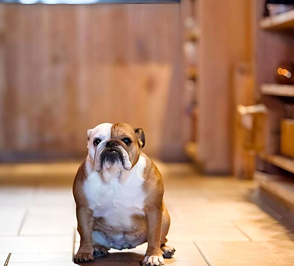 Hotel De Zeebries Budget