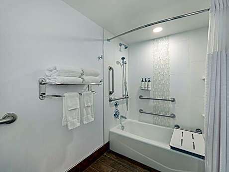 Junior King Suite with Mobility Accessible Tub