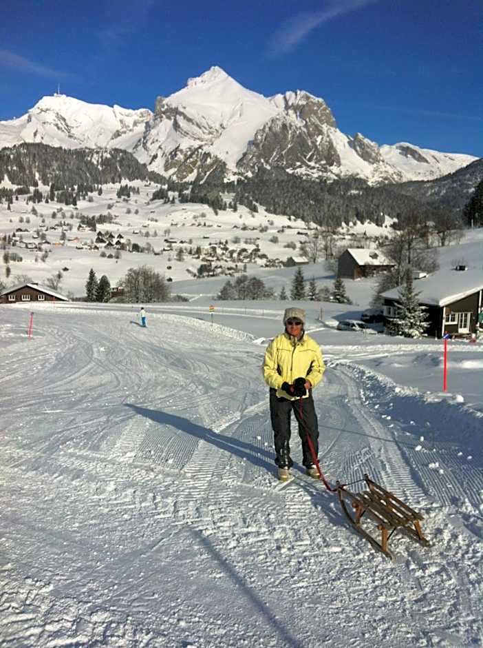 Hotel Alpina