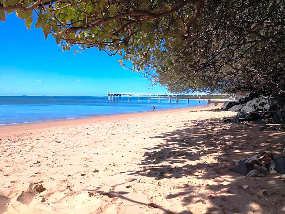 Coconut Palms on the Bay
