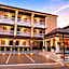 The Lion King Hotel