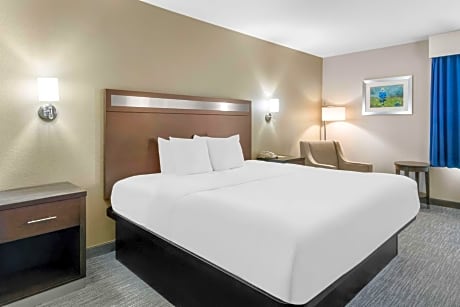King Room with Walk-In Shower - Mobility Accessible/Non-Smoking