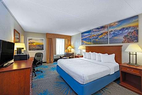 1 Queen Bed Pet-Friendly Non-Smoking