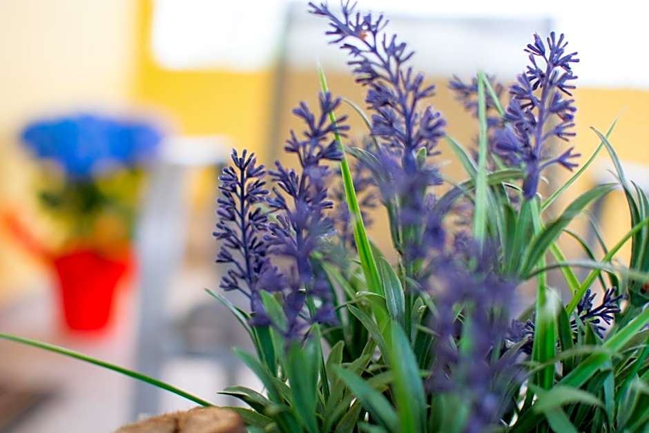 Sunset Apartments Free shuttle from Athen's Airport