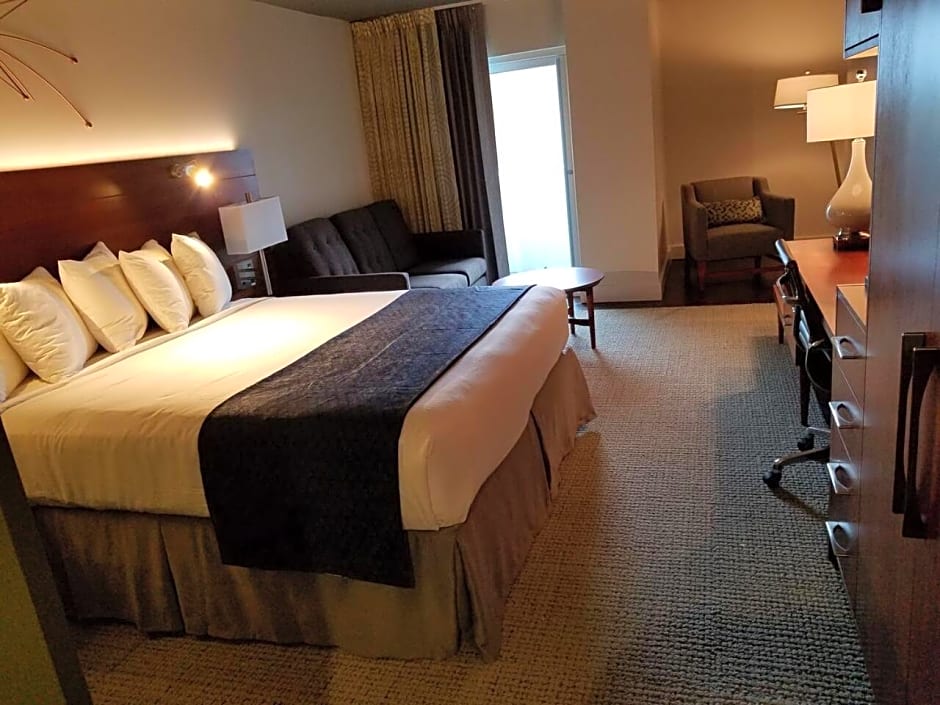 Alder Hotel Uptown New Orleans