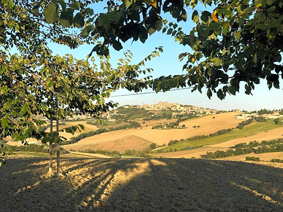 B&B I Pini Di Storaco