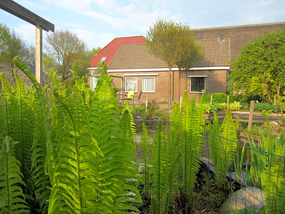 B&B Kleintje Eleveld