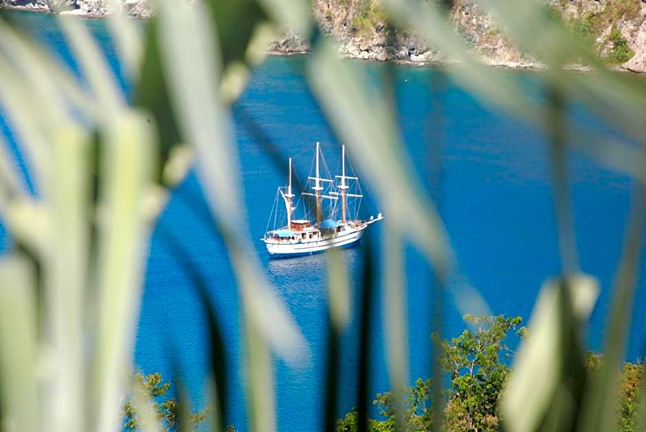 Au Jardin Des Colibris Ecolodge&Spa