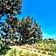 Agriturismo Tesorino