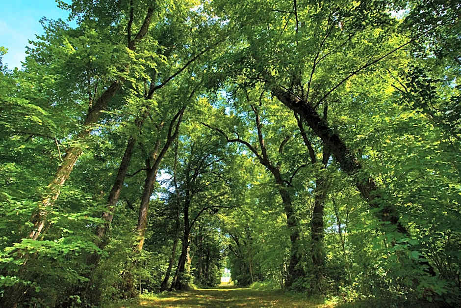 Domaine de La Groirie - Le Mans