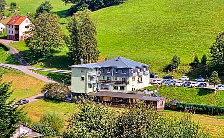 Hotel Grüner Baum mit Restaurant & Wellness