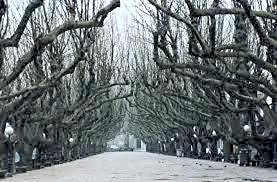 Albergue Pensión Flavia