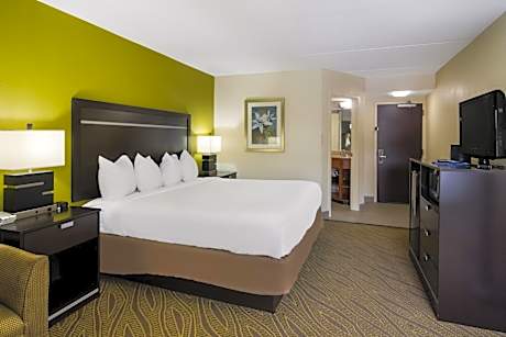 1 King Bed Nonsmoking