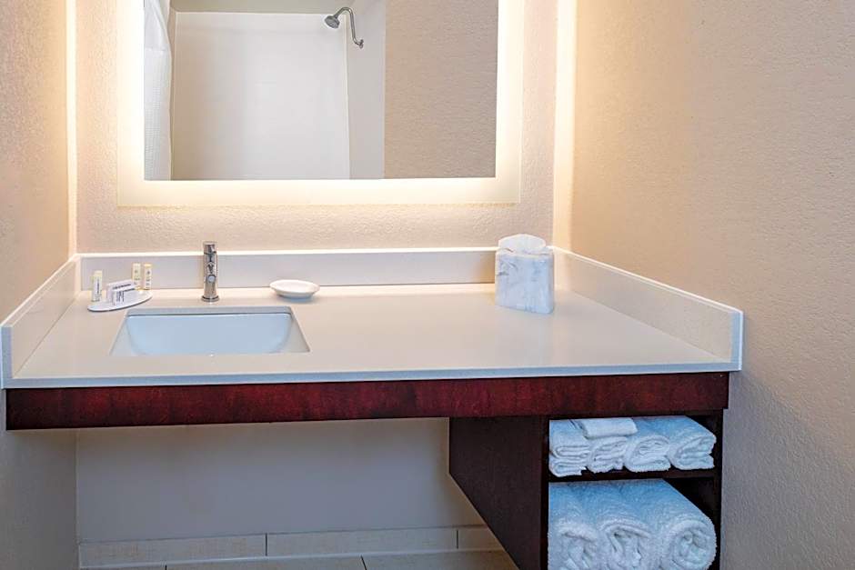 SpringHill Suites by Marriott Houston Medical Center/NRG Park