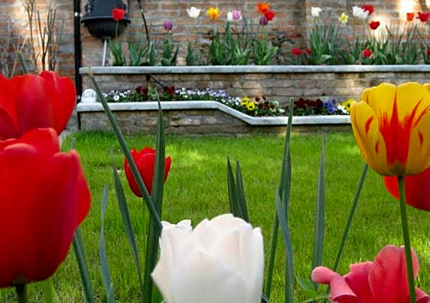 Bed and Breakfast Casa delle Rose Lido Venezia