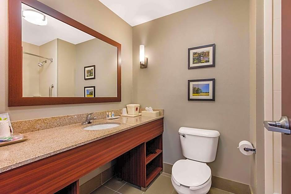 Comfort Suites Tuscaloosa near University