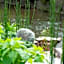 Kyoto Takasegawa Bettei - Vacation STAY 08062v