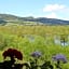 Pension Waldhof am Stubenbergsee