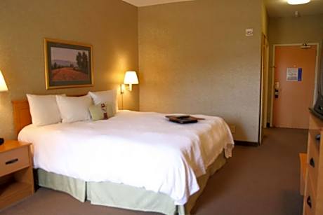 1 King Bed Nonsmoking